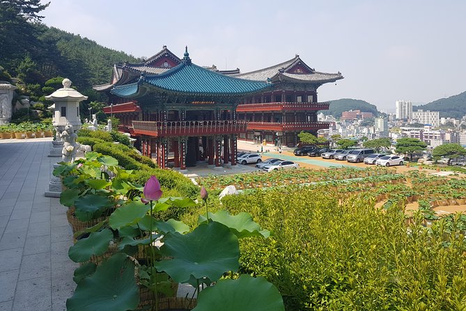 Busan Tour With Gamcheon Culture Village - Booking and Cancellation Policy