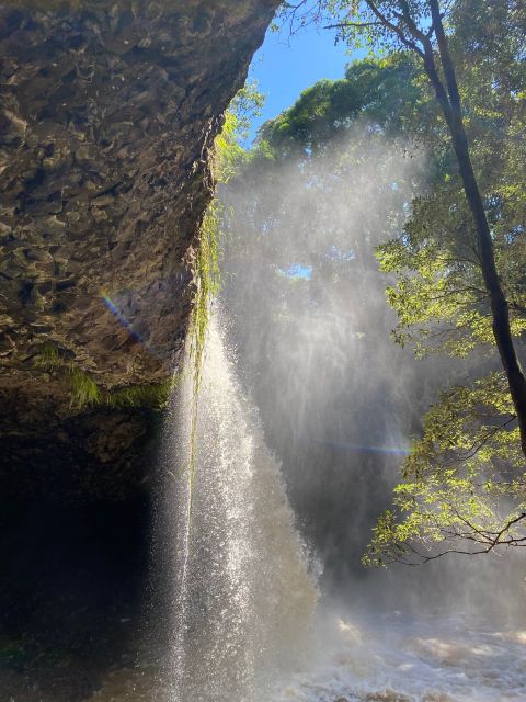 Byron Bay: Waterfalls and Hidden Gems Day Tour - Experience