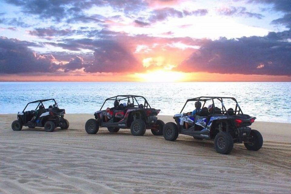 Cabo: Sunset Camel Ride and ATV Combo Adventure - Explore Rugged Desert Terrain on ATVs