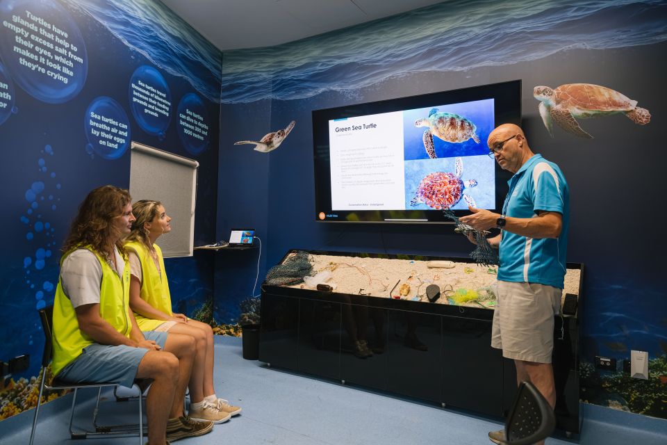 Cairns: Aquarium Entry Ticket and Turtle Rehabilitation Tour - Activity Description