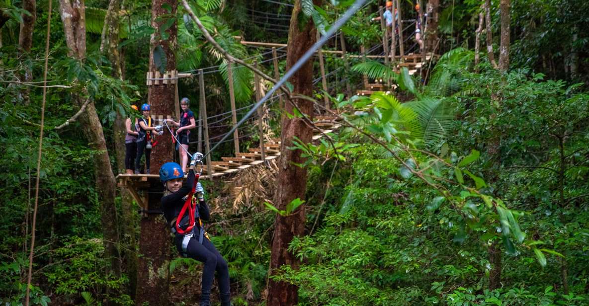 Cairns: Daintree Rainforest Canopy Ziplining Tour - Booking Information