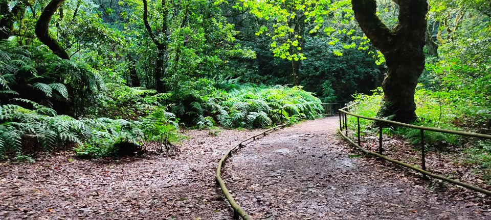 Caldeirão Verde Levada: Roundtrip Transfer & Hike - Trail Details