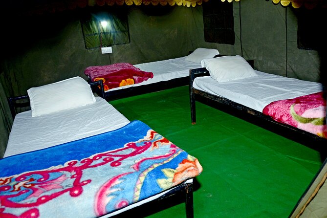 Camping in Rishikesh - 1N 2D - Participant Experiences and Reviews