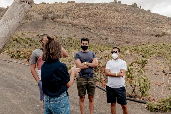 Canarian Wine Experience at Bodega Los Lirios - Property Tour