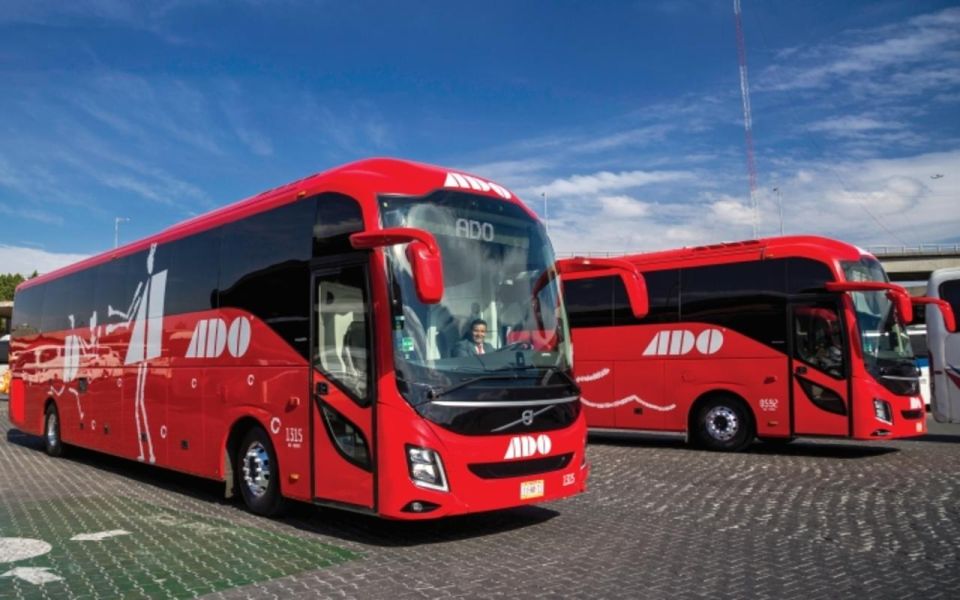 Cancun: Airport Transfer To/From Downtown by Bus - Onboard Amenities