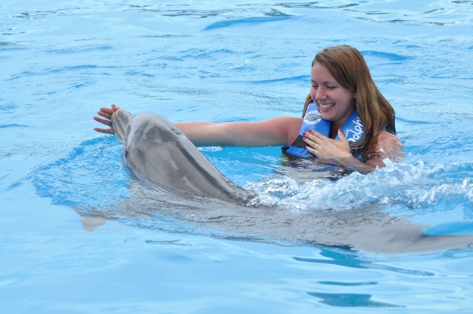 Cancún: Dolphin Swimming Program on Isla Mujeres With Buffet - Detailed Activity Itinerary