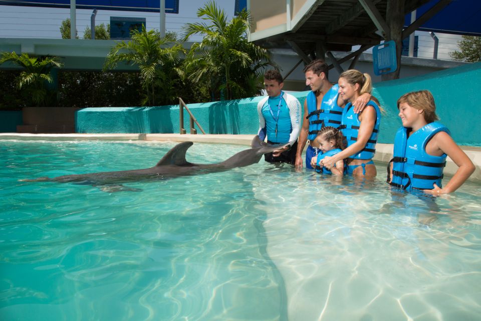 Cancún: Swim With Dolphins at Interactive Aquarium Cancún - Activity Inclusions