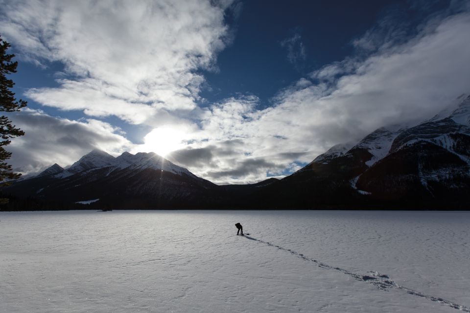 Canmore: Wilderness and Wildlife - Hiking Tours - Guided Hike Experience