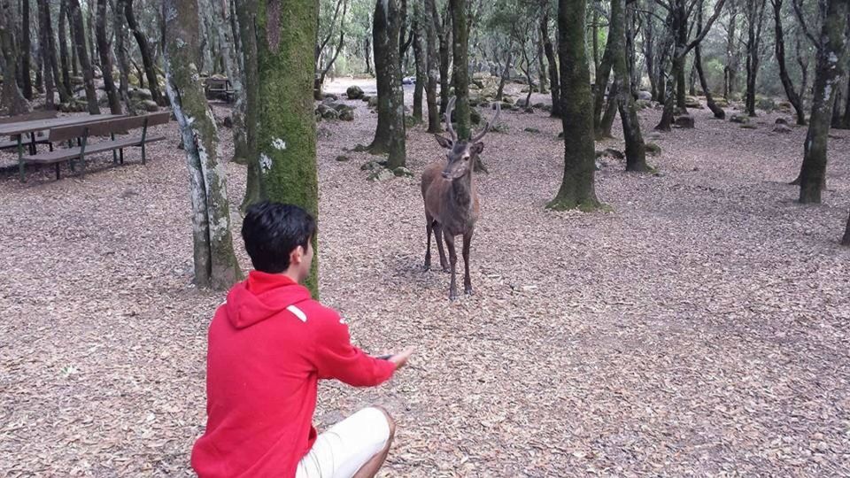 Cannoneris Nature Reserve Walking and Jeep Private Tour - Inclusions