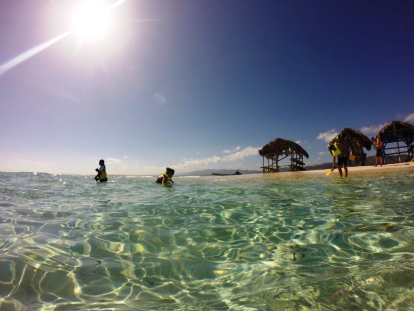 Cayo Arena: Paradise Island and Mangroves Tour - Snorkeling Through Crystal Clear Waters