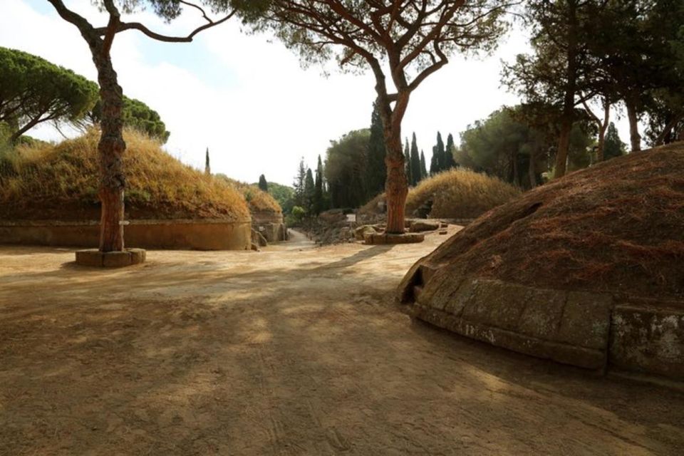 Cerveteri & Tarquinia Private Tour From Rome - Tour Description