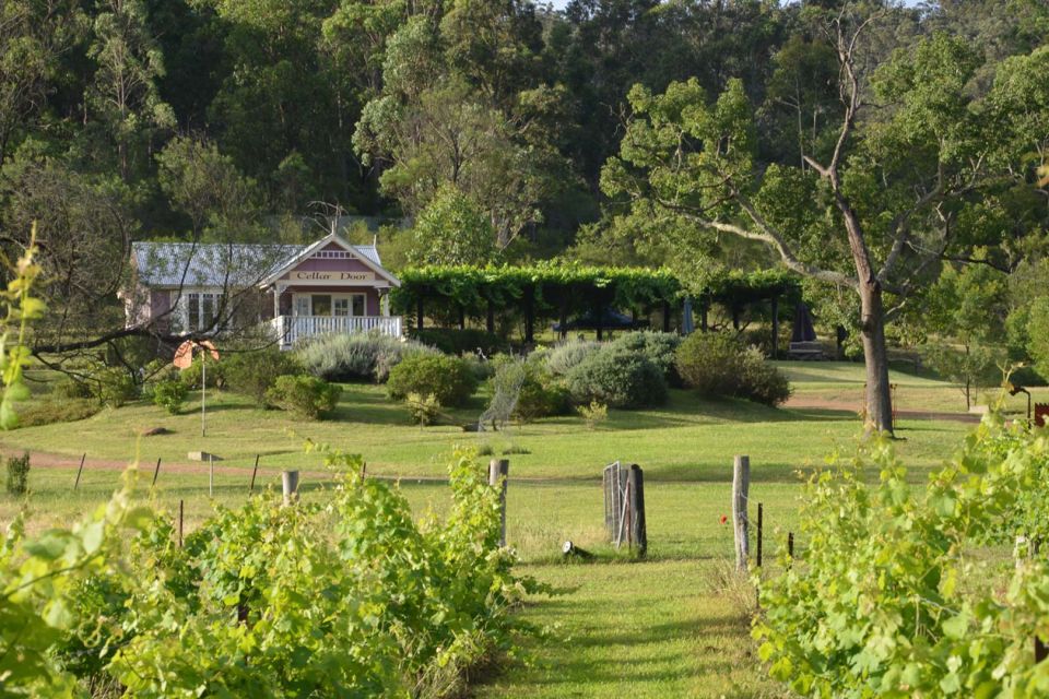 Chef-Led Hunter Valley Food & Wine Tour From Sydney - Tour Highlights