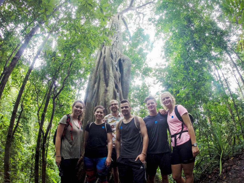 Chiang Mai: 7-Hour Doi Suthep National Park Summit Hiking - Hiking to Wat Pha Lat