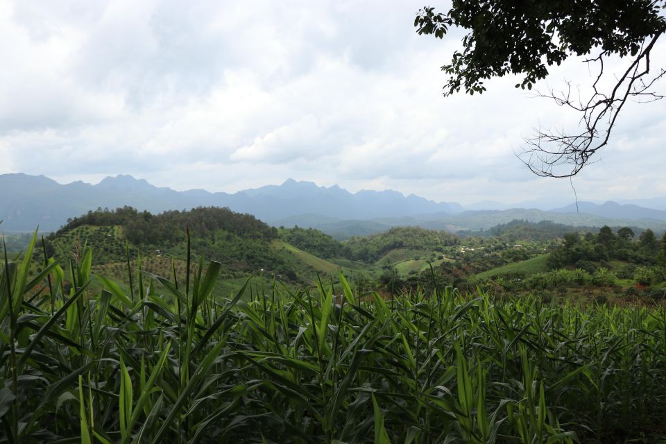 Chiang Mai: Chiang Dao Cave, Sticky Waterfall With Longneck - Visit Hill Tribe Village