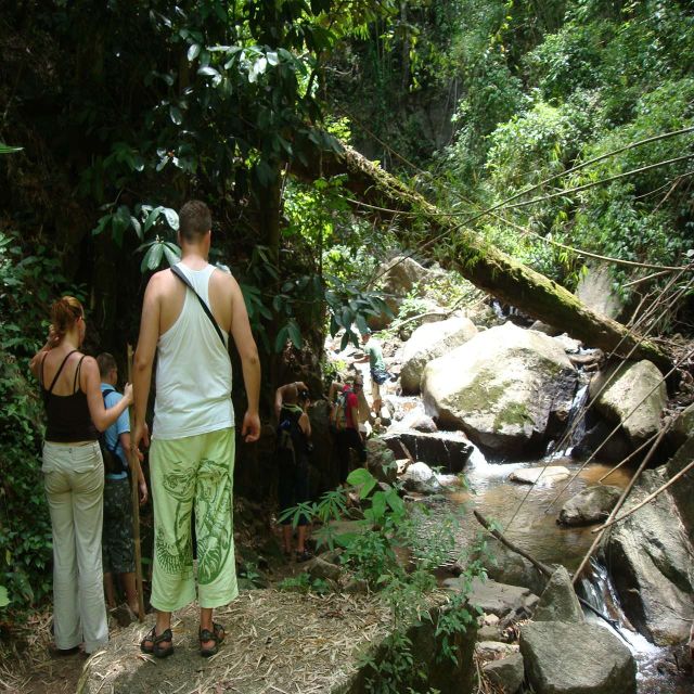 Chiang Mai: Doi Suthep-Pui National Park Day Tour & Rafting - Exclusions