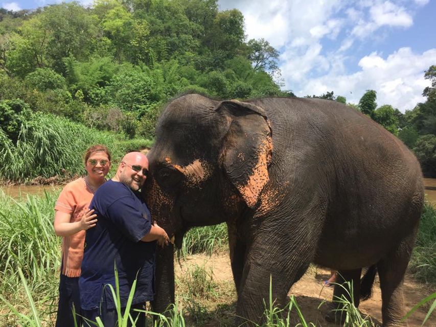 Chiang Mai: Doi Suthep Temple & Elephant Sanctuary Day Trip - Interaction With Rescued Elephants