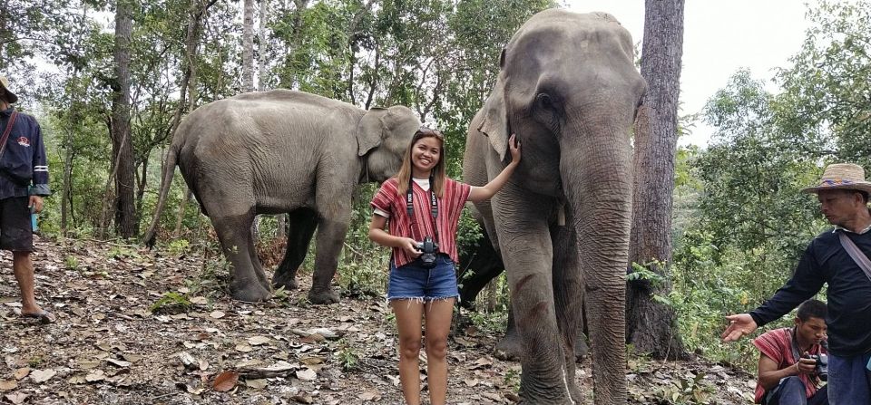 Chiang Mai: Elephant Sanctuary & Waterfall Group Tour - Observing Elephant Families