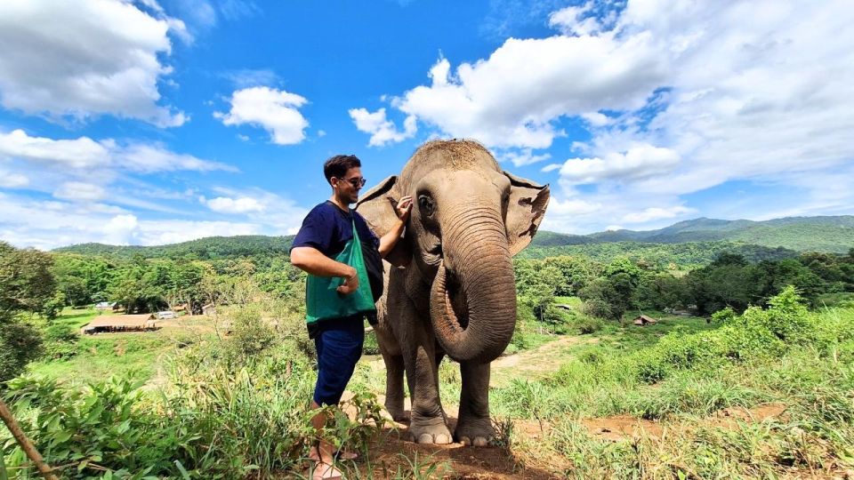 Chiang Mai: Elephant Sanctuary With Lunch Day Tours - Included in the Tour