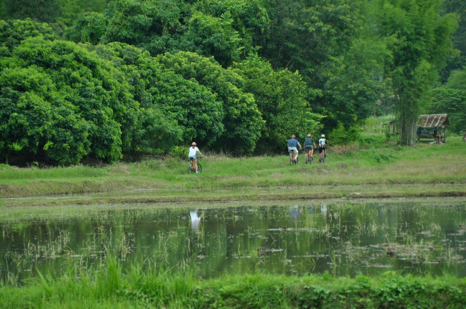 Chiang Mai Fields of Gold Cycling Tour - Included Equipment