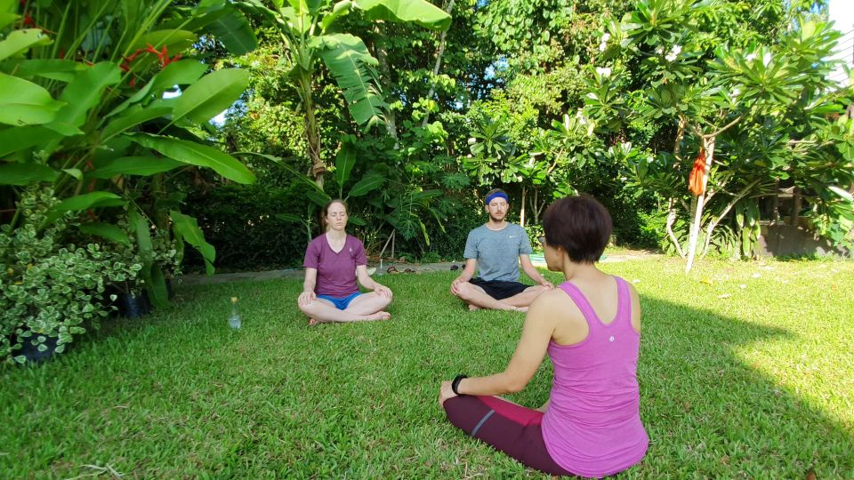 Chiang Mai: Full-Day Yoga & Meditation Experience With Lunch - Exploring Rice Fields