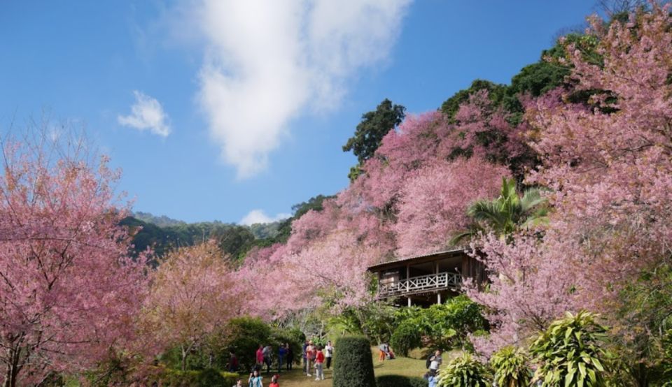 Chiang Mai: One Day Trek Doi Suthep & White Hmong Hill Tribe - Highlights of the Trek