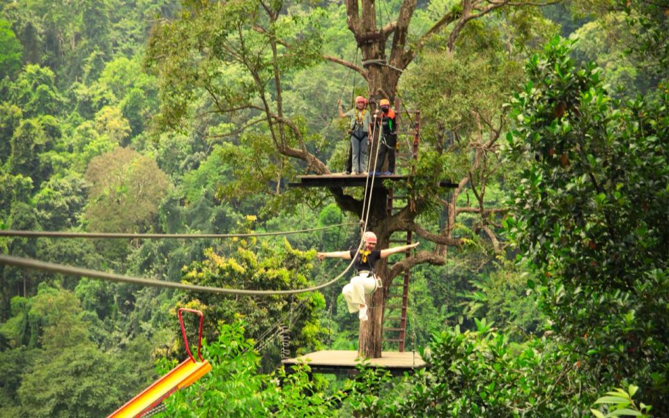 Chiang Mai: Pongyang Jungle Coaster & Zipline - Soar Through the Treetops Zipline Adventure