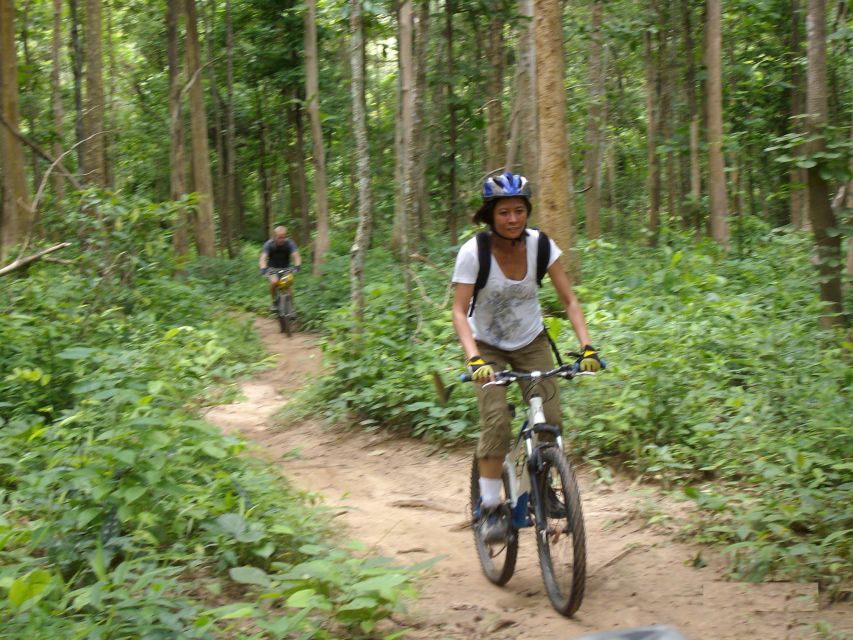 Chiang Mai: Rainforest Guided Mountain Biking Tour - Jeep/SUV Transfer to Start