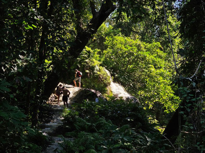 Chiang Mai: Sticky Waterfall Half-Day Tour & Hotel Transfers - Getting to the Waterfall