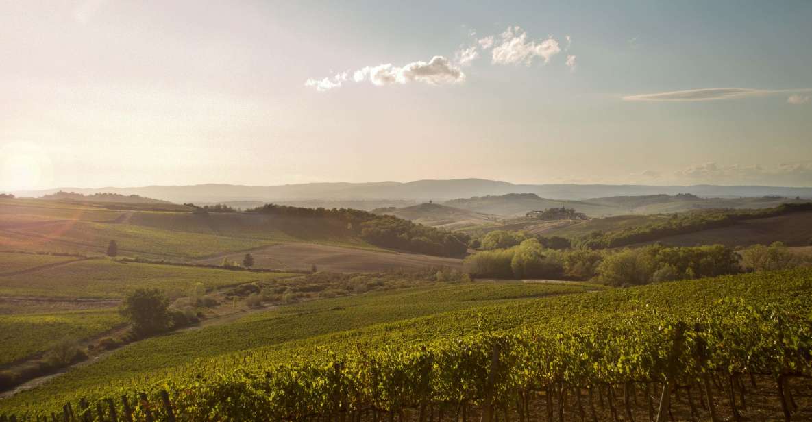 Chianti Classico and Super Tuscan Wine Tour - Itinerary Overview