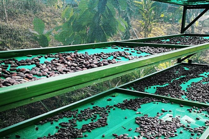 Chocolate and Coffee Tour Manuel Antonio - Pickup Locations and Details
