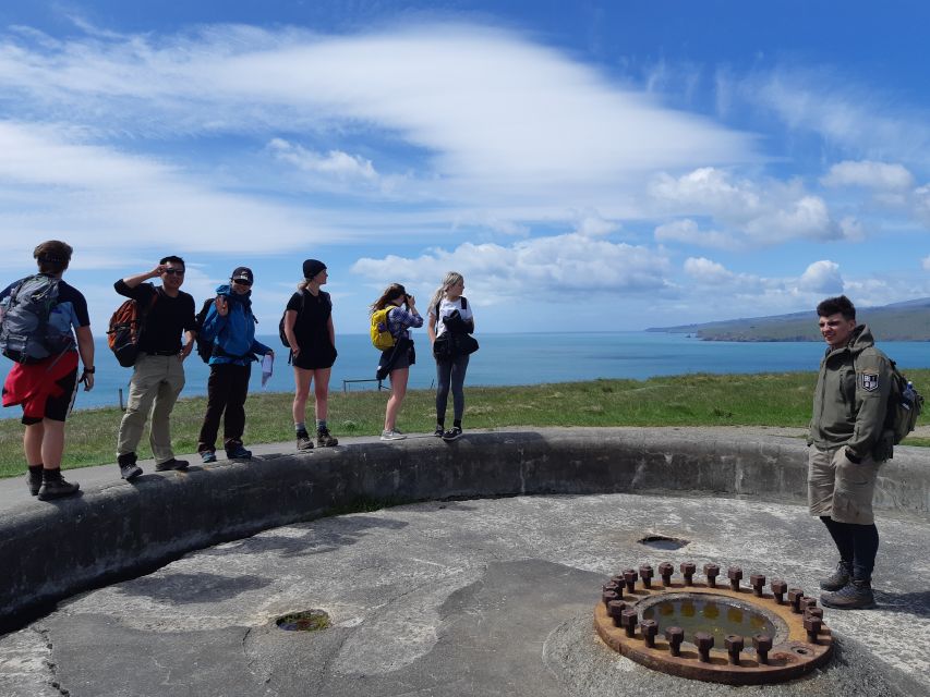 Christchurch: Godley Head & Lyttelton Guided Walking Tour - Highlights