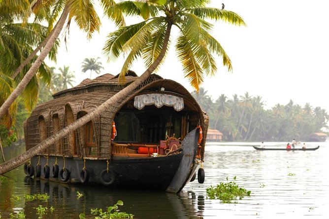 Cochin City or Backwater Shore Excursions From Cruise Terminal - Local Cuisine to Try