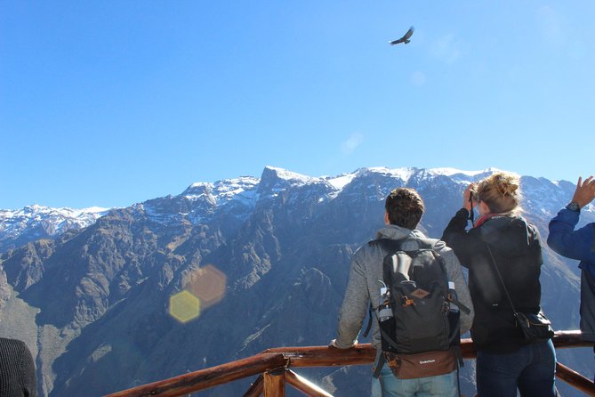 Colca Full Day Tour - Inclusions and Dining Options