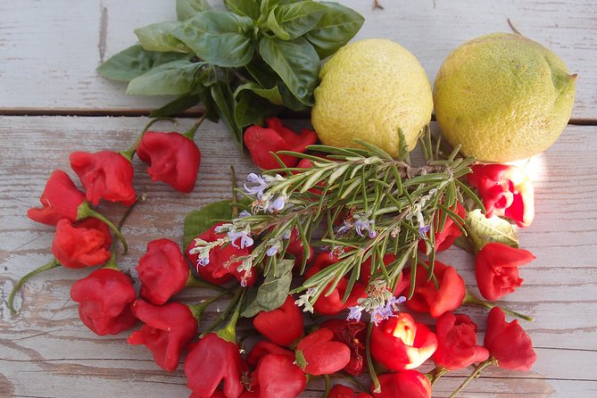 Cooking Class, Traditional Greek Cuisine, on a Greek Island - Transportation and Accessibility