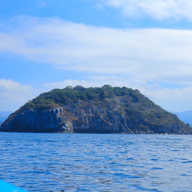 Coral Island - Birdwatching on the Island