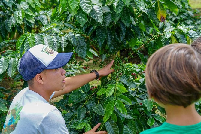 Costa Rican Coffee and Chocolate Crafting Experience: North Fields Cafe - Included Amenities