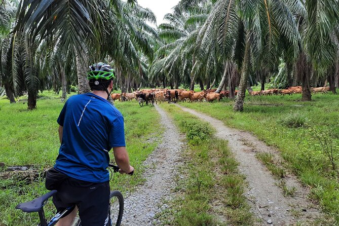 Countryside Cycling Tour by Matahari - Nearby Attractions