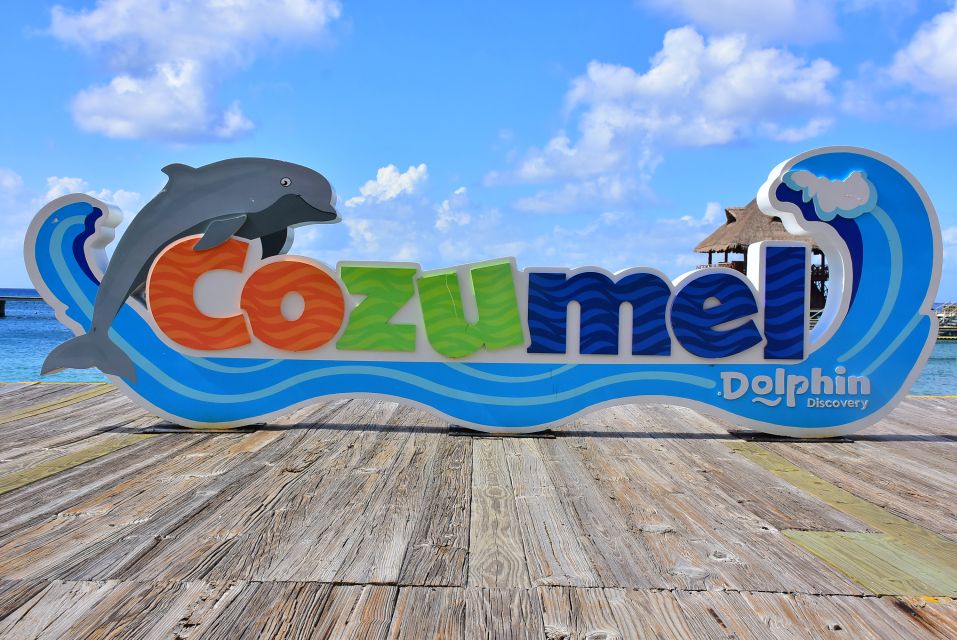 Cozumel: Dolphin Royal Swim - Dolphin Interaction Experience