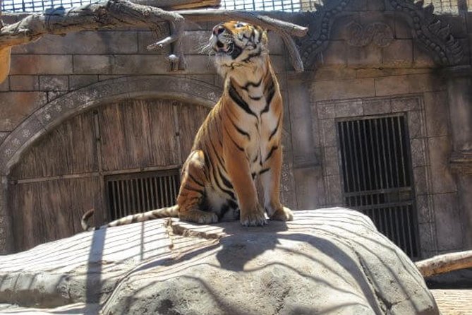 Crocodile Park Zoo Admission Ticket in Agüimes - Admission and Accessibility