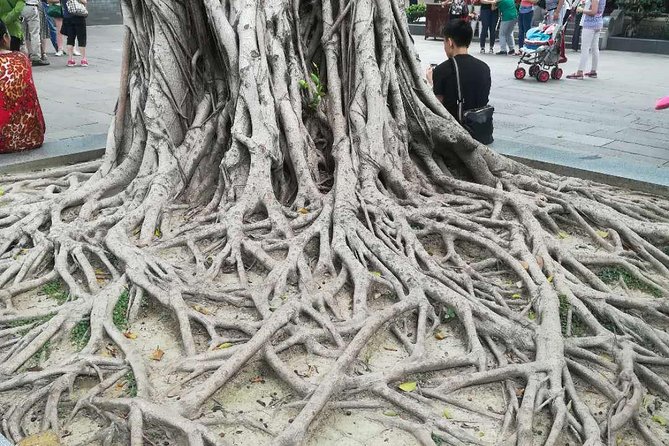 Customised Private Guangzhou City Tour With Flexible Itinerary - Customized Itinerary