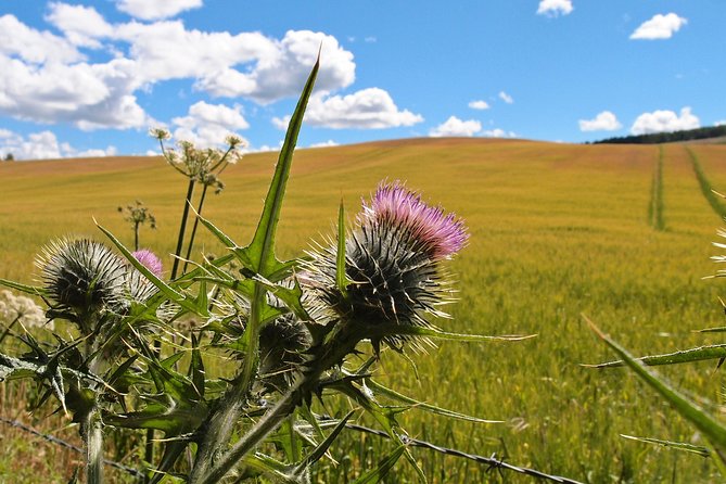 Cycle To Loch Ness - Self Guided - Cancellation Policy