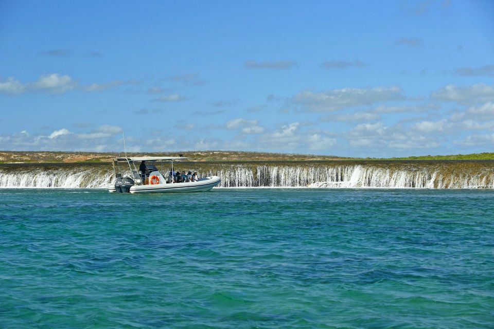 Cygnet Bay Unique Tidal Waterfall Reefs Scenic Cruise - Experience