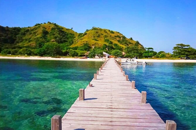 Daily Trip Highlight Komodo Archipelago by Speed Boat - Discovering Komodo Dragons