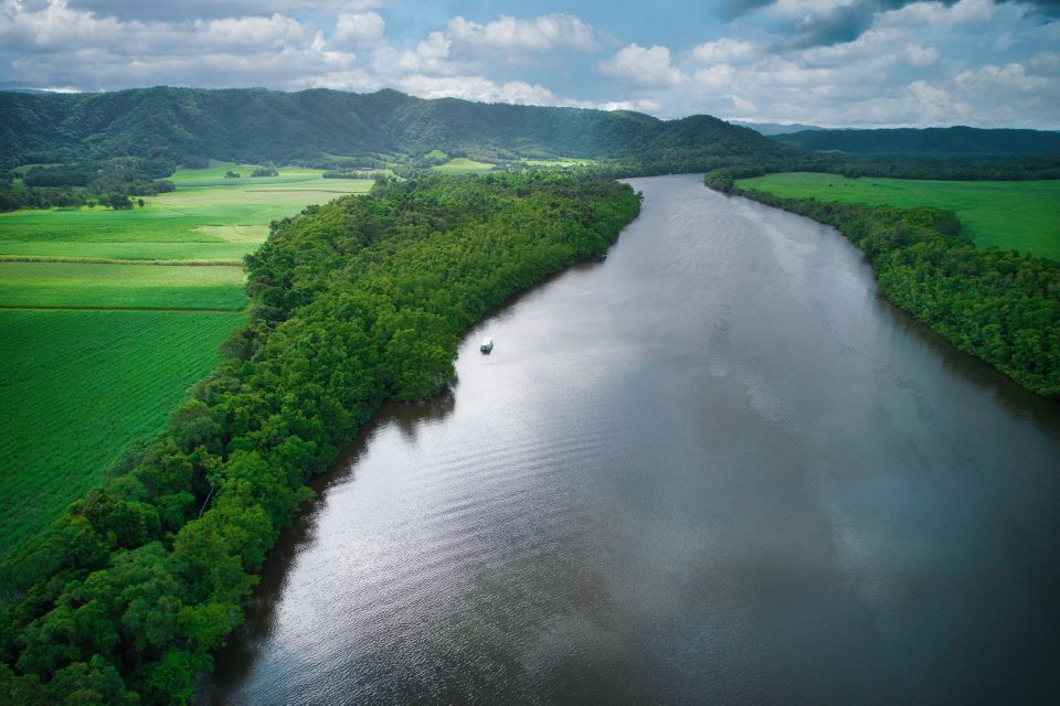 Daintree: Lower Daintree Crocodile & Wildlife Cruise - Full Description