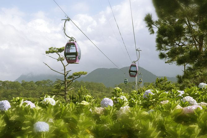 Dalat Private Tour Package in 2 Days - Health and Accessibility