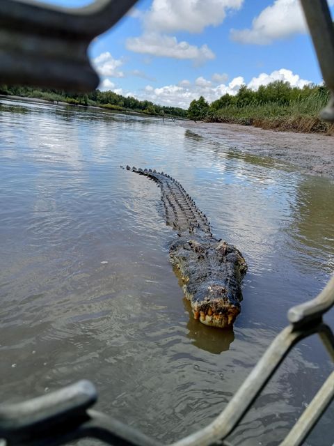 Darwin and Crocodile Tour - Activities Description