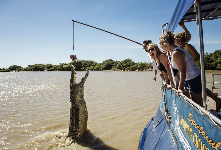 Darwin: Jumping Crocodile Cruise - Tour Description