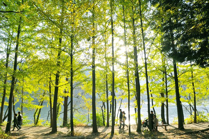 Day Trip to Nami Island With Rail Bike and the Garden of Morning Calm - Free Time on Nami Island