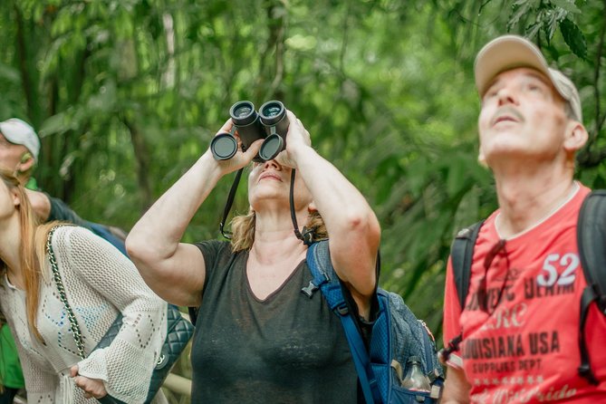 Deluxe Private Manuel Antonio Park Tour - Tour Schedule and Operating Hours