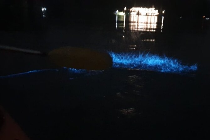 Discover Bioluminescent Plankton Using Kayak in Lan Ha Bay - Dining Options